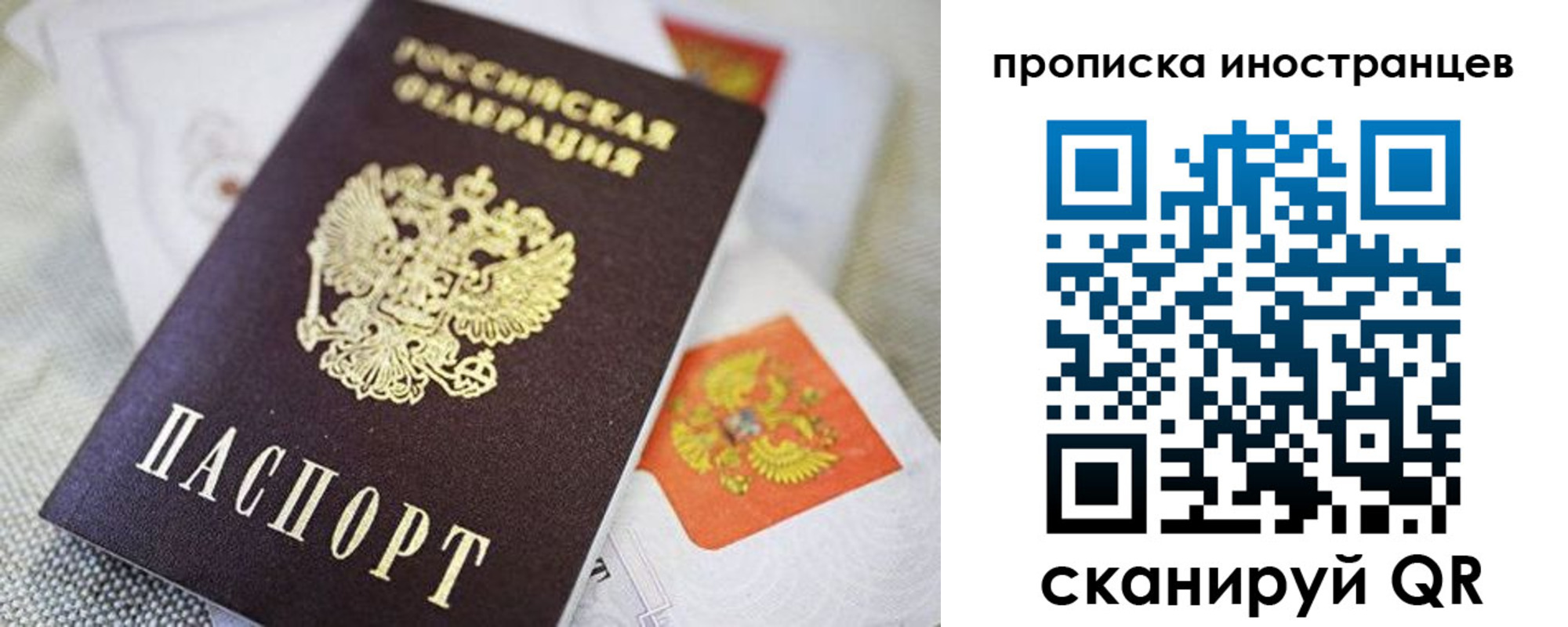 временная регистрация поиск в Новомосковске